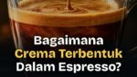 Bagaimana Mesin Espresso Menghasilkan Lapisan Crema