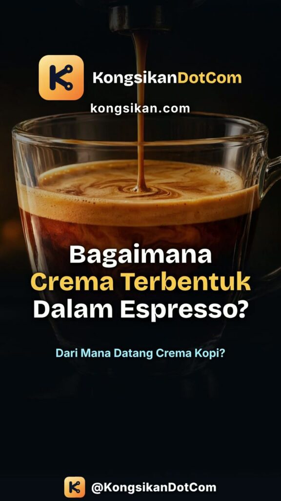 Bagaimana Mesin Espresso Menghasilkan Lapisan Crema